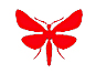 logo siebelink